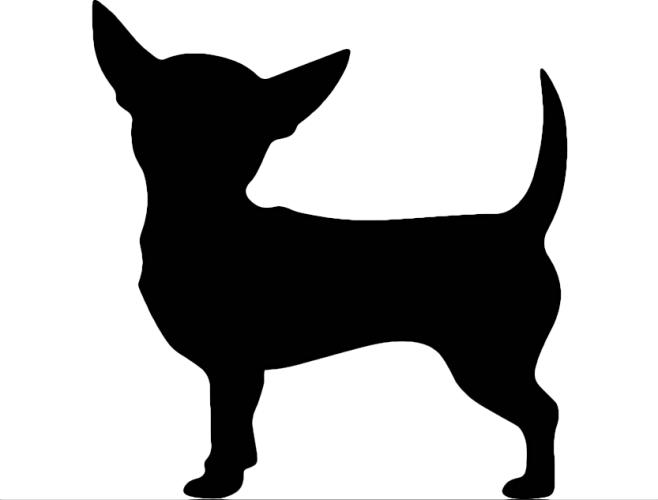 Diferencias de Chihuahuas - Tipos de Chihuahuas - Lineas de Chihuahuas